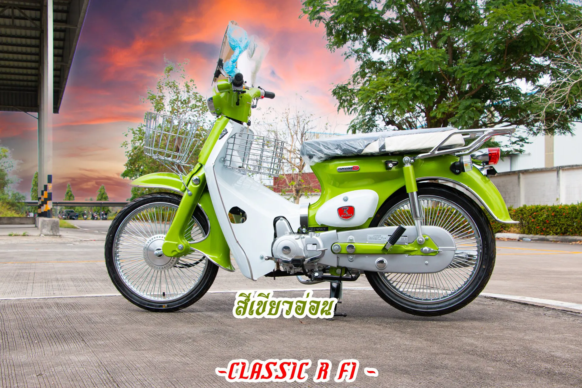 classic_classic_r_fi_green